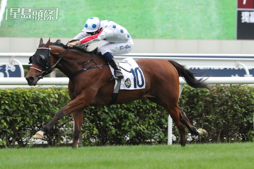 巴米高迄今在港共四勝頭馬。