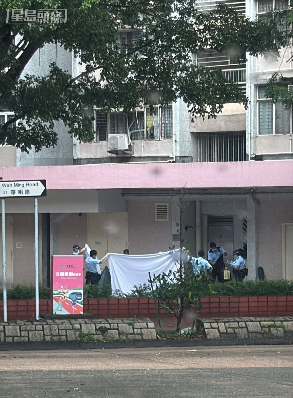 fb上水人大聯盟圖片 fb上水人大聯盟圖片