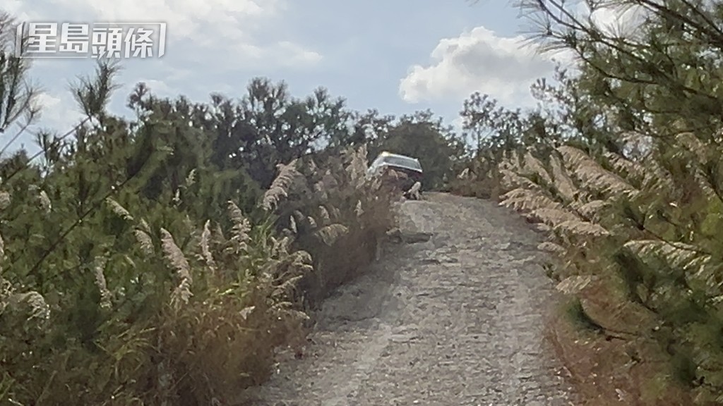 現場是稔灣路的山坡。蔡楚輝攝