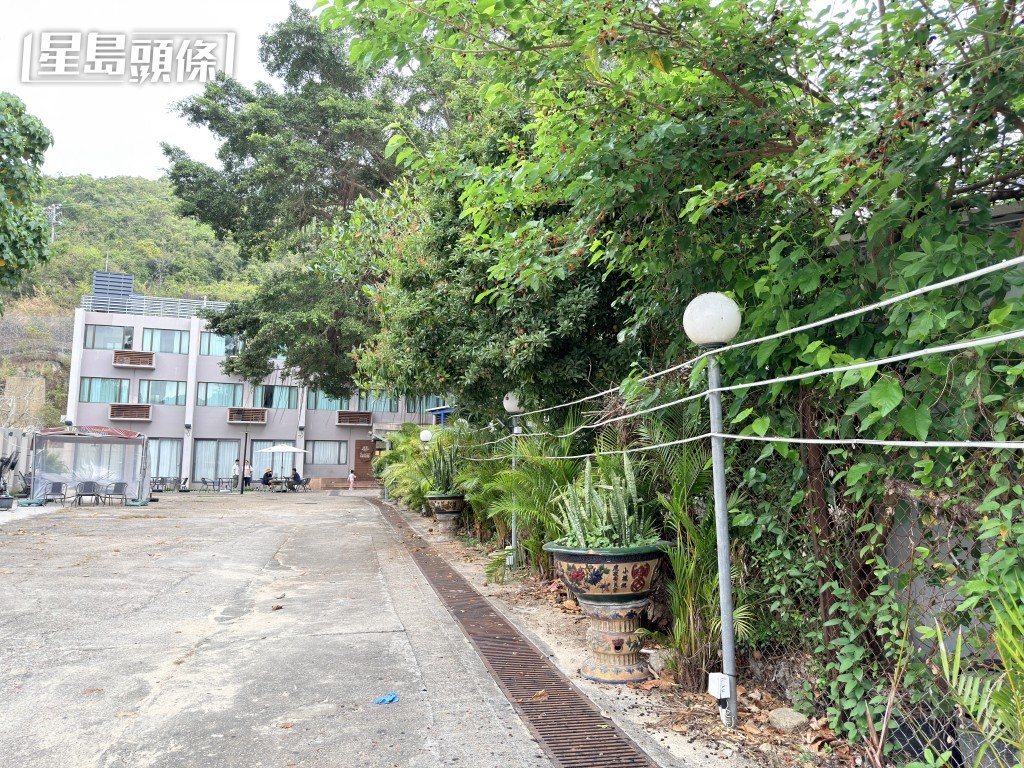 男子誤碰樹旁的燈柱，觸電死亡。梁國峰攝