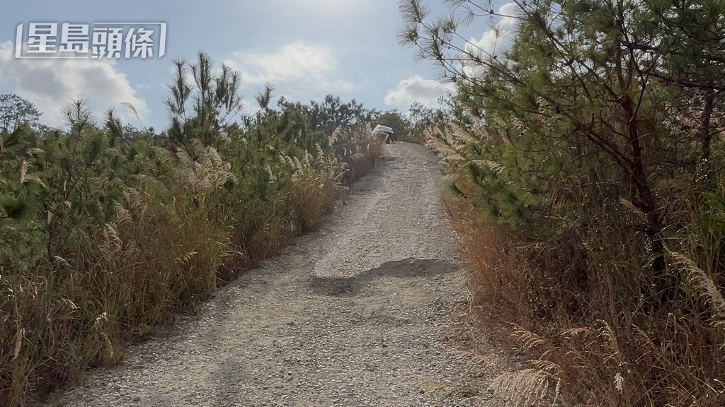 現場是稔灣路的山坡。蔡楚輝攝