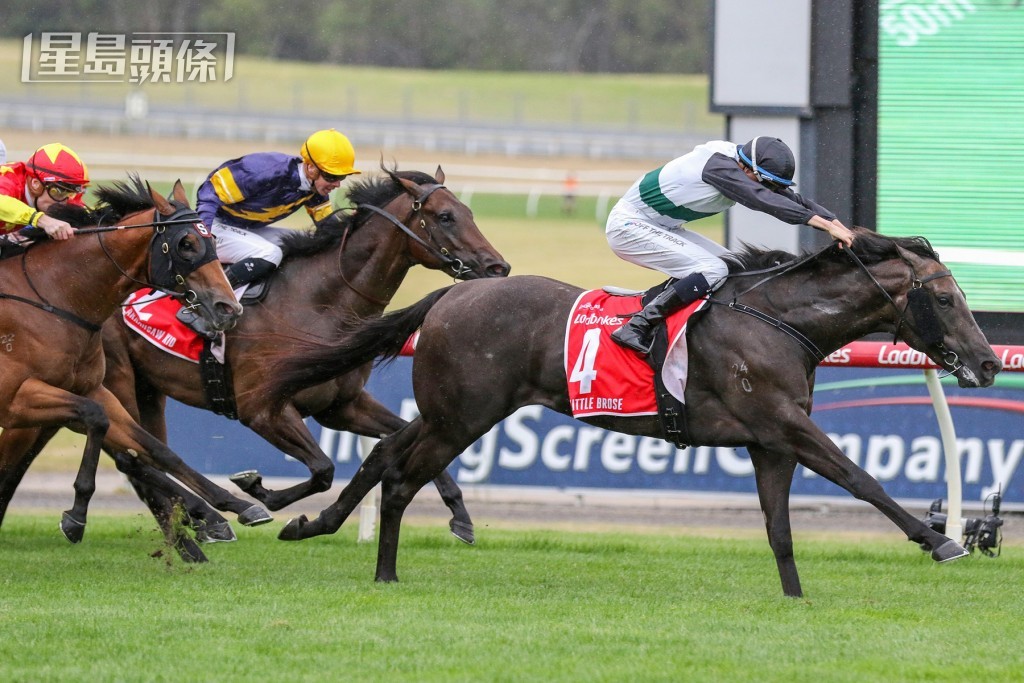 大衛希斯對「禾道小子」的前景寄予厚望。