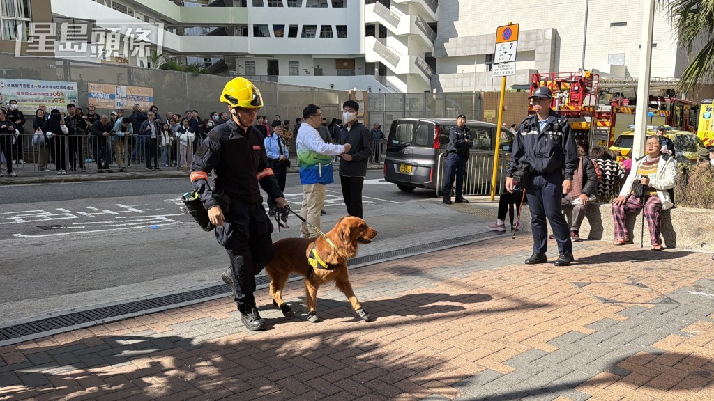 消防搜索犬到場。 消防搜索犬到場。