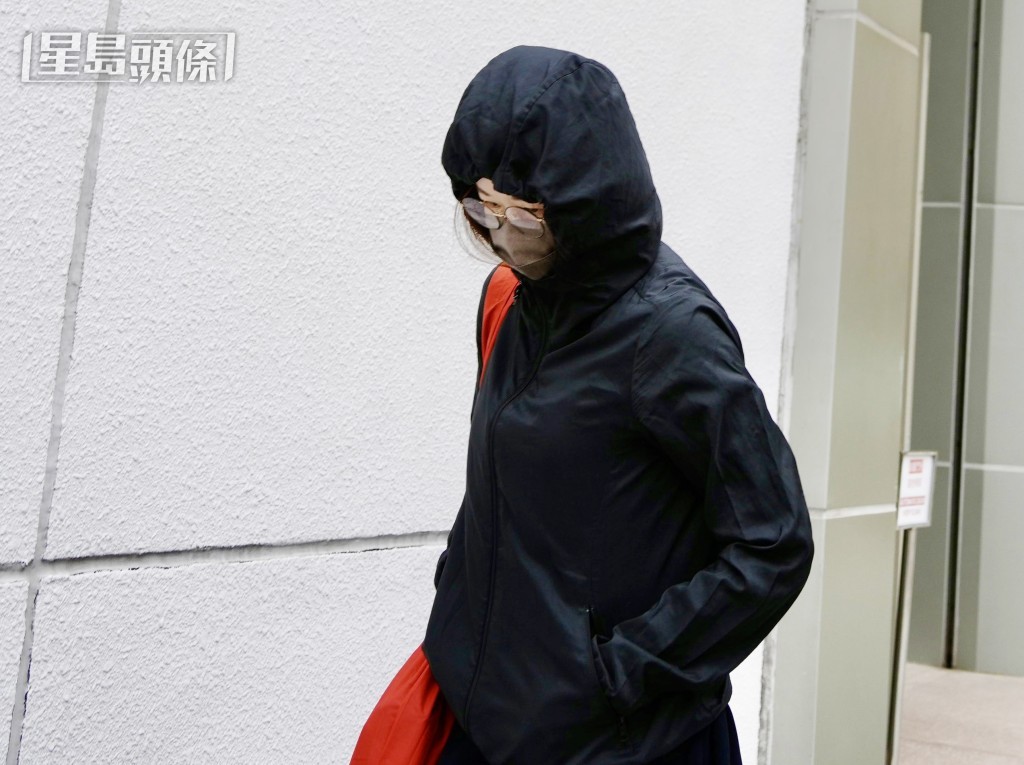 被告之一的麥偉琪。資料圖片 被告之一的麥偉琪。資料圖片