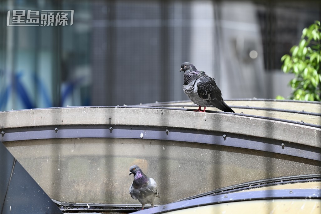 。資料圖片