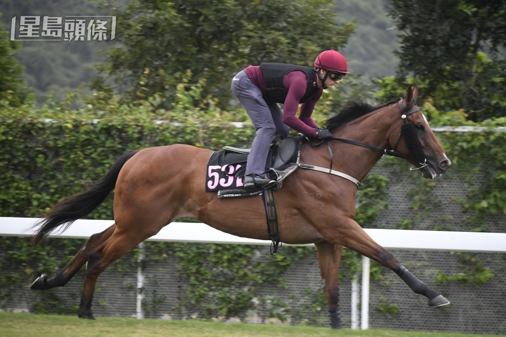 「友愛心得」在澳洲一出即勝，來港後積極操練，近兩次試閘由潘頓摸實。