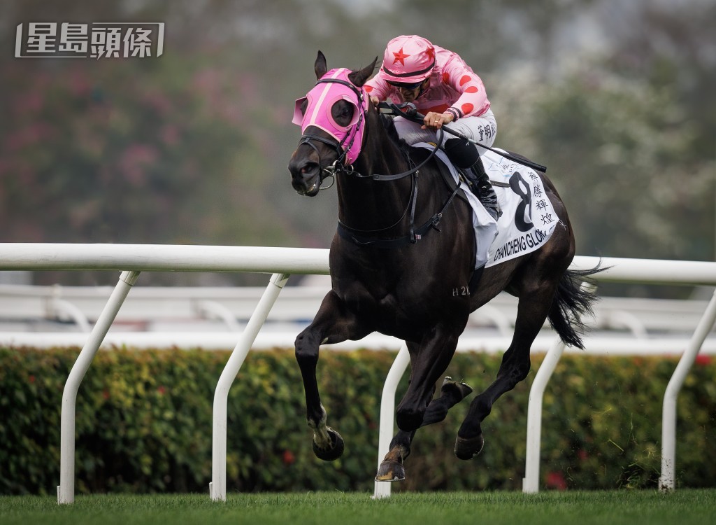 「禪勝輝煌」(圖)上仗出爭香港經典盃，末段被頭馬「驕陽明駒」超越，與冠軍擦身而過。