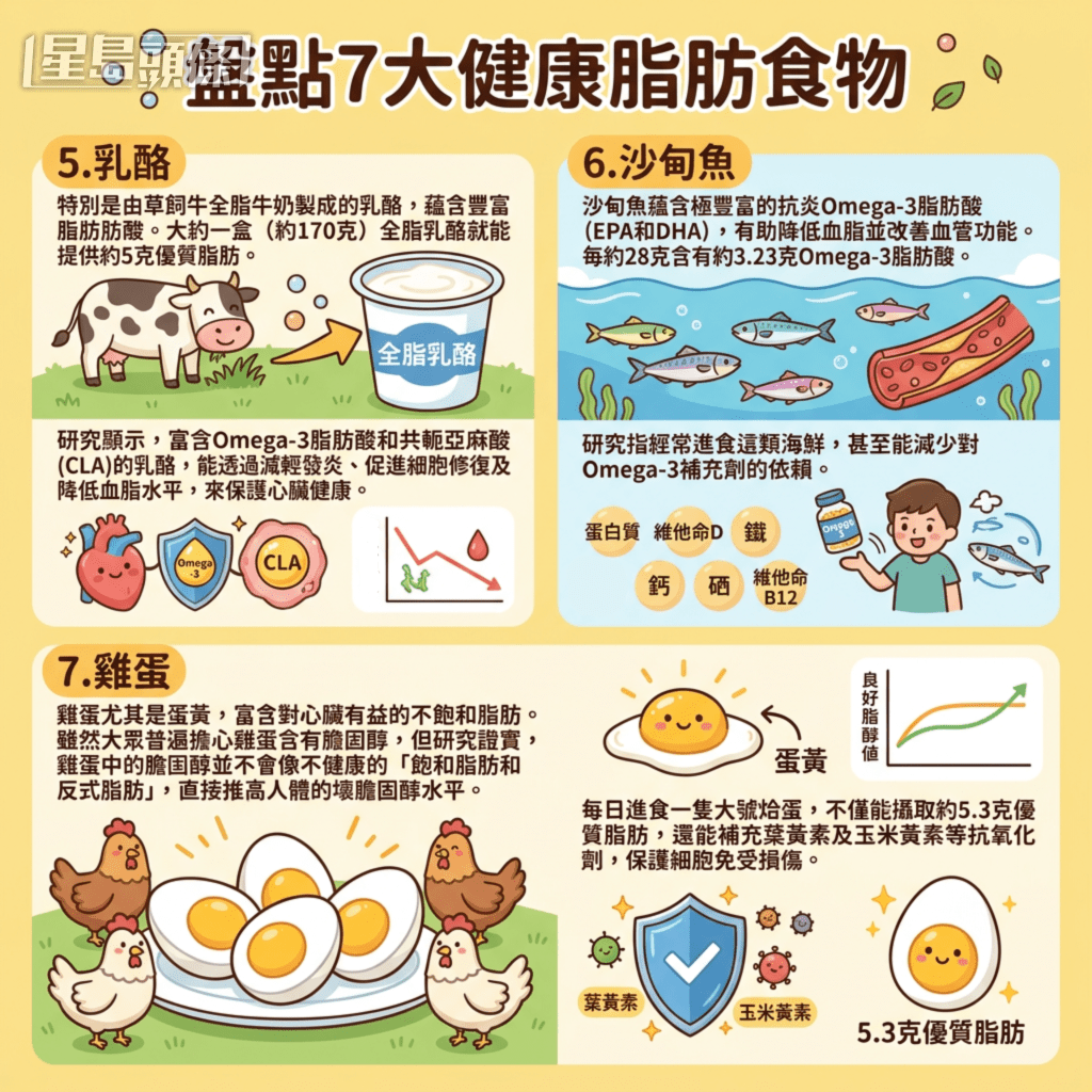 盤點7大健康脂肪食物
