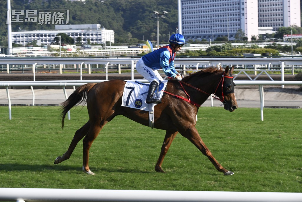 巫偉傑當望盡快為「佳福駒」打開勝門，報答馬主洪祖杭的支持。