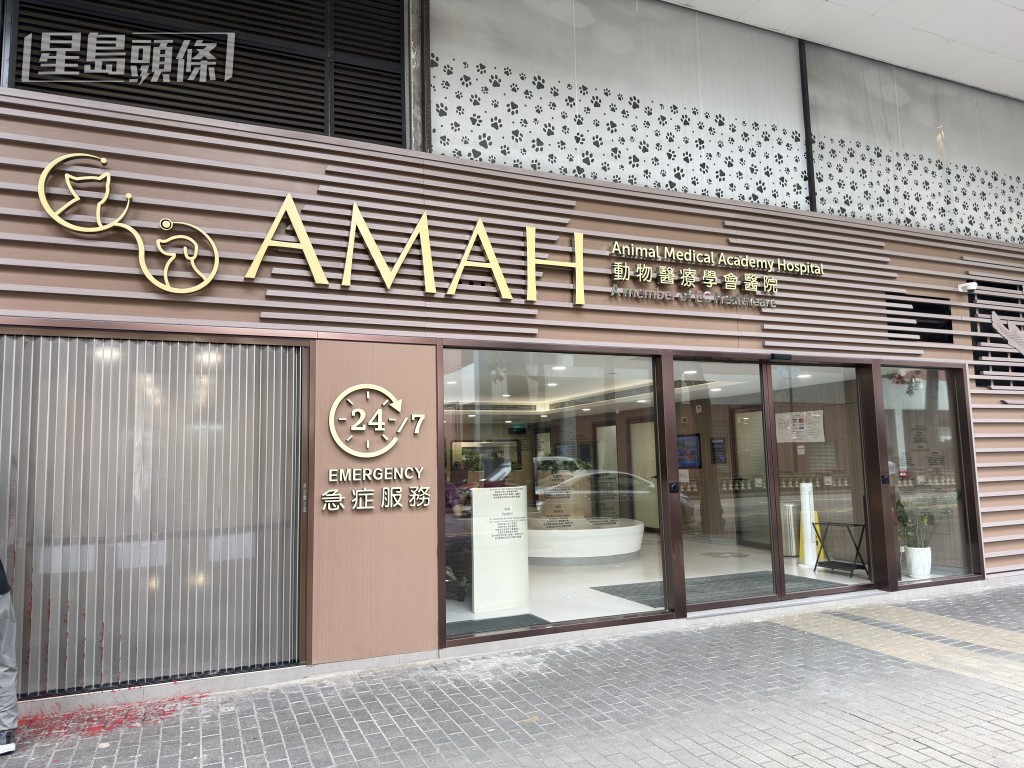 現場是加連威老道100號動物醫療學會醫院。 現場是加連威老道100號動物醫療學會醫院。