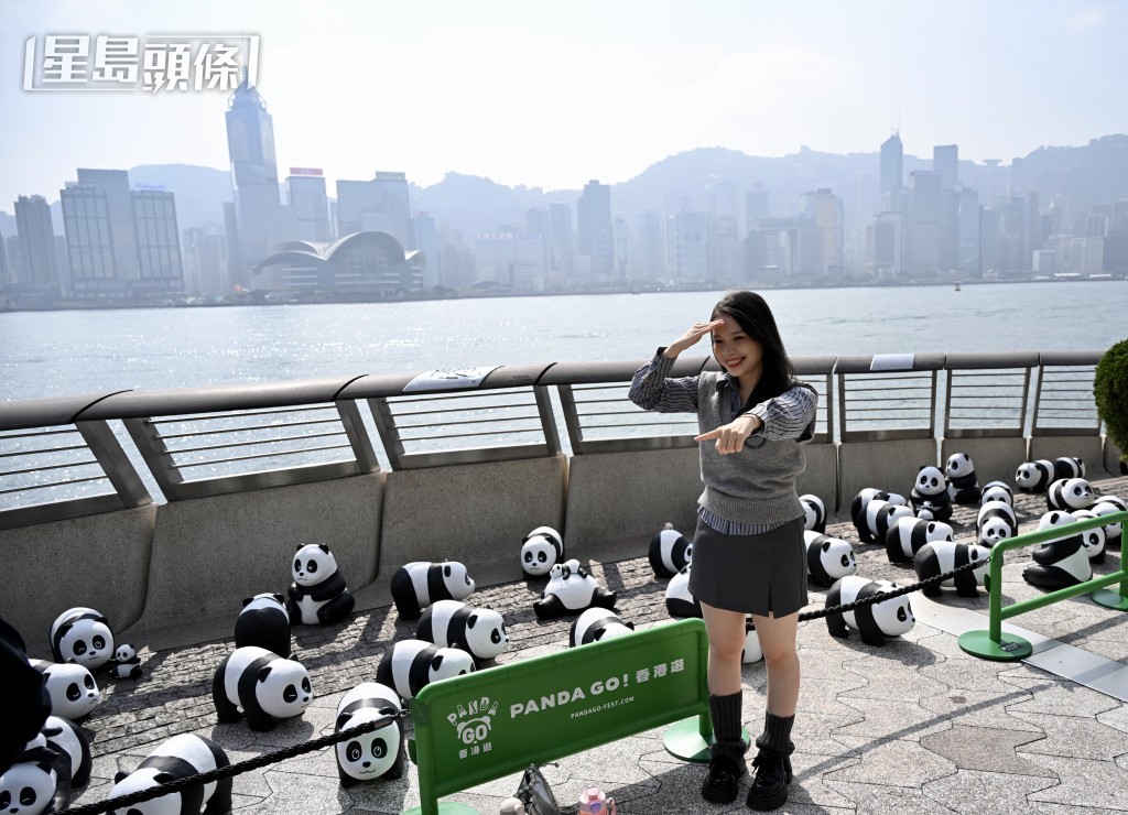市民不停與熊貓雕塑打卡。