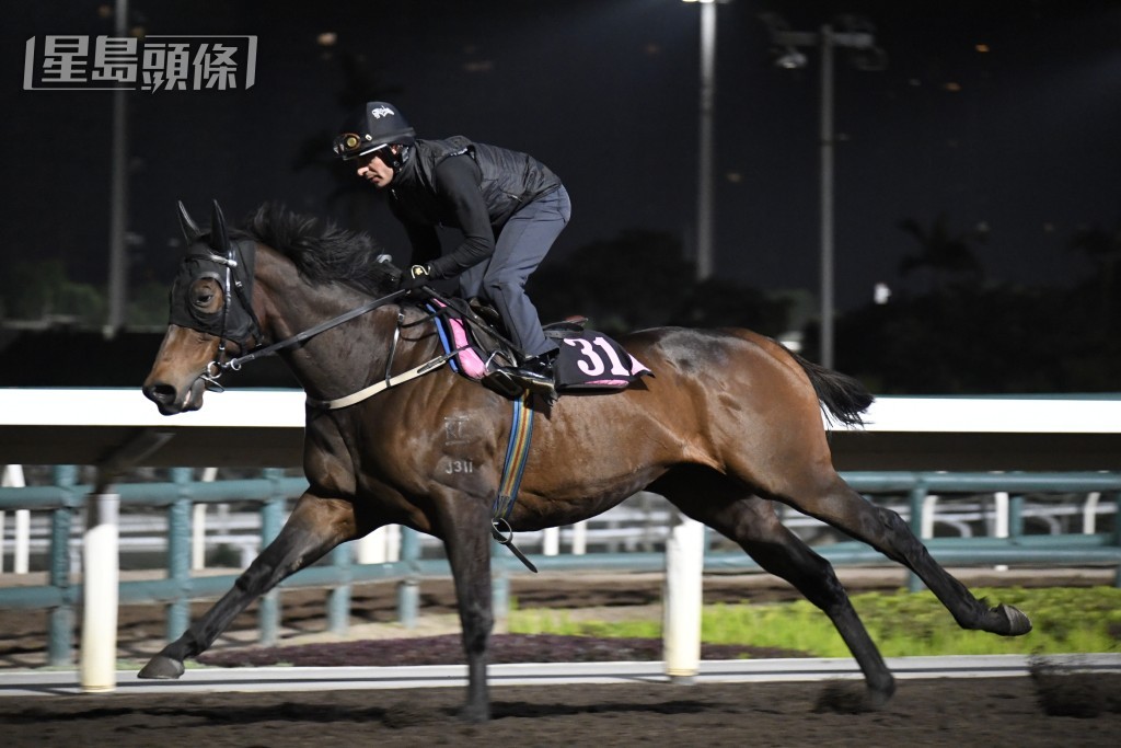 艾兆禮操過馬匹之中以「開心樂園」最有睇頭，交出極佳走勢。