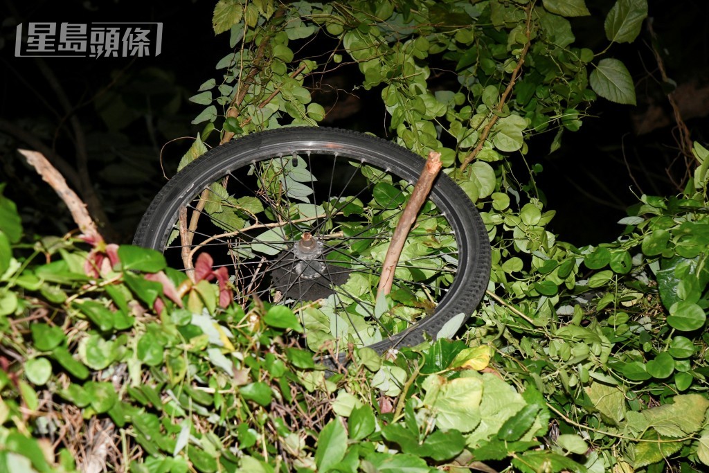 其中一個單車輪跌於草叢中。資料圖片 其中一個單車輪跌於草叢中。資料圖片
