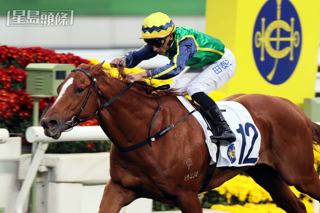 「綠族無限」迄今四勝沙田賽事。