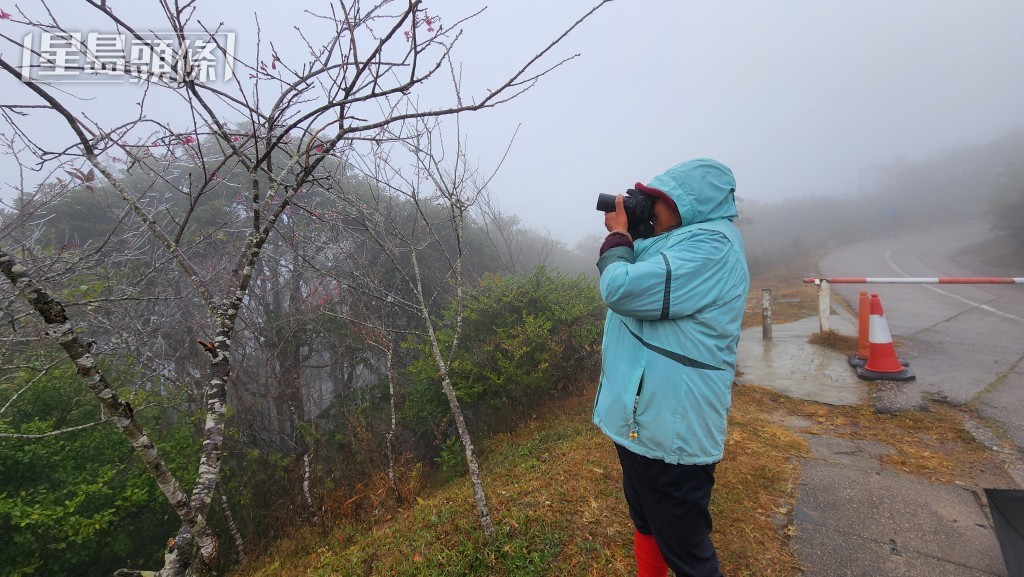 黄太到大帽山拍摄植物结冰美景。黎志伟摄