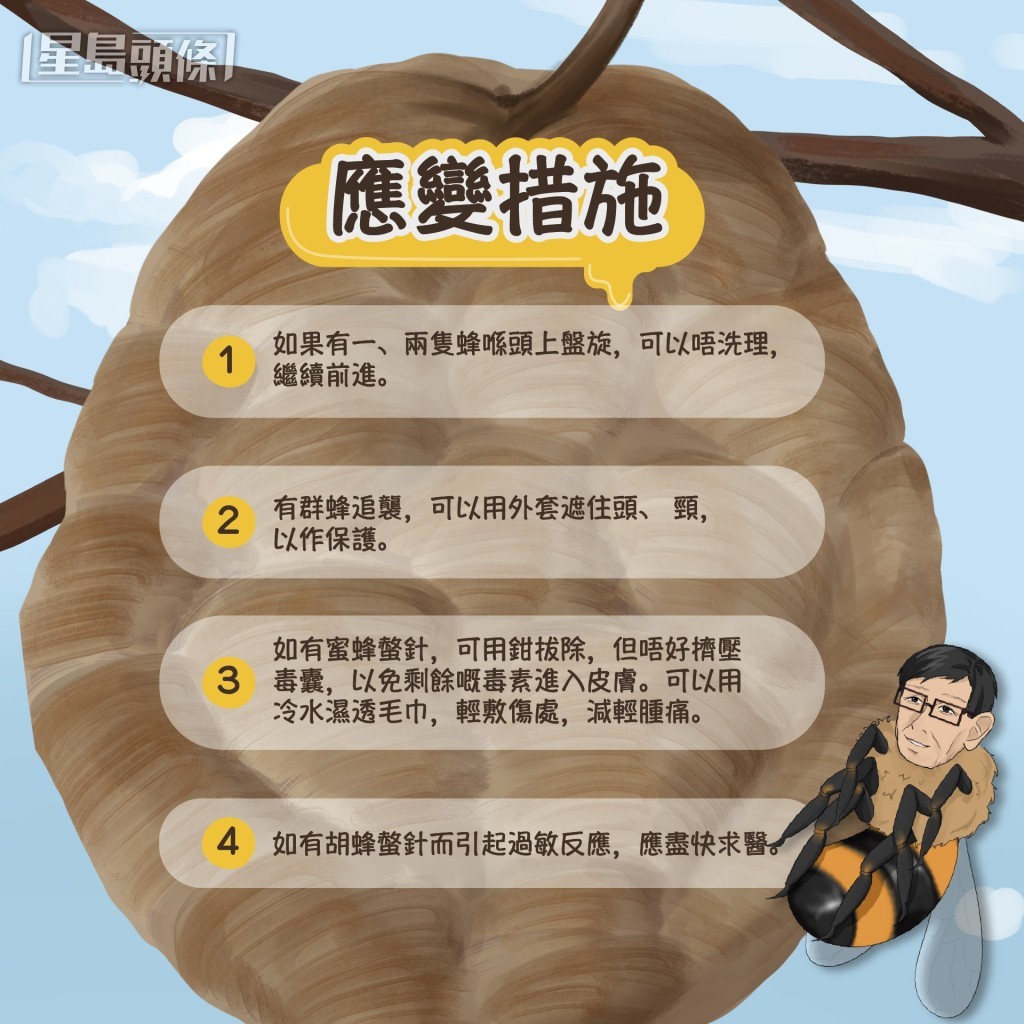 漁護署避蜂指引。FB:香港郊野公園 漁護署避蜂指引。FB:香港郊野公園