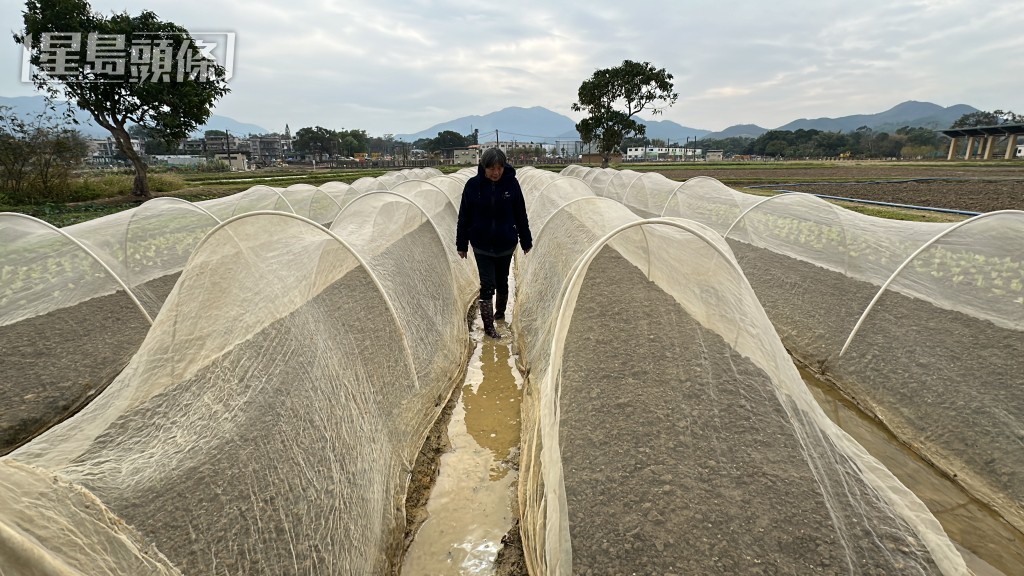梁國峰攝 梁國峰攝