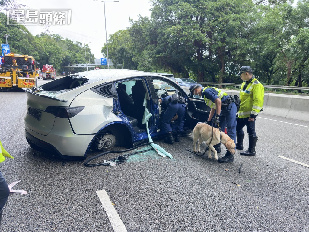 警方出動緝毒犬搜車。 警方出動緝毒犬搜車。