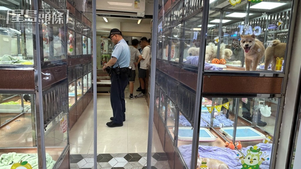警員在寵物店內調查。蔡楚輝攝 警員在寵物店內調查。蔡楚輝攝