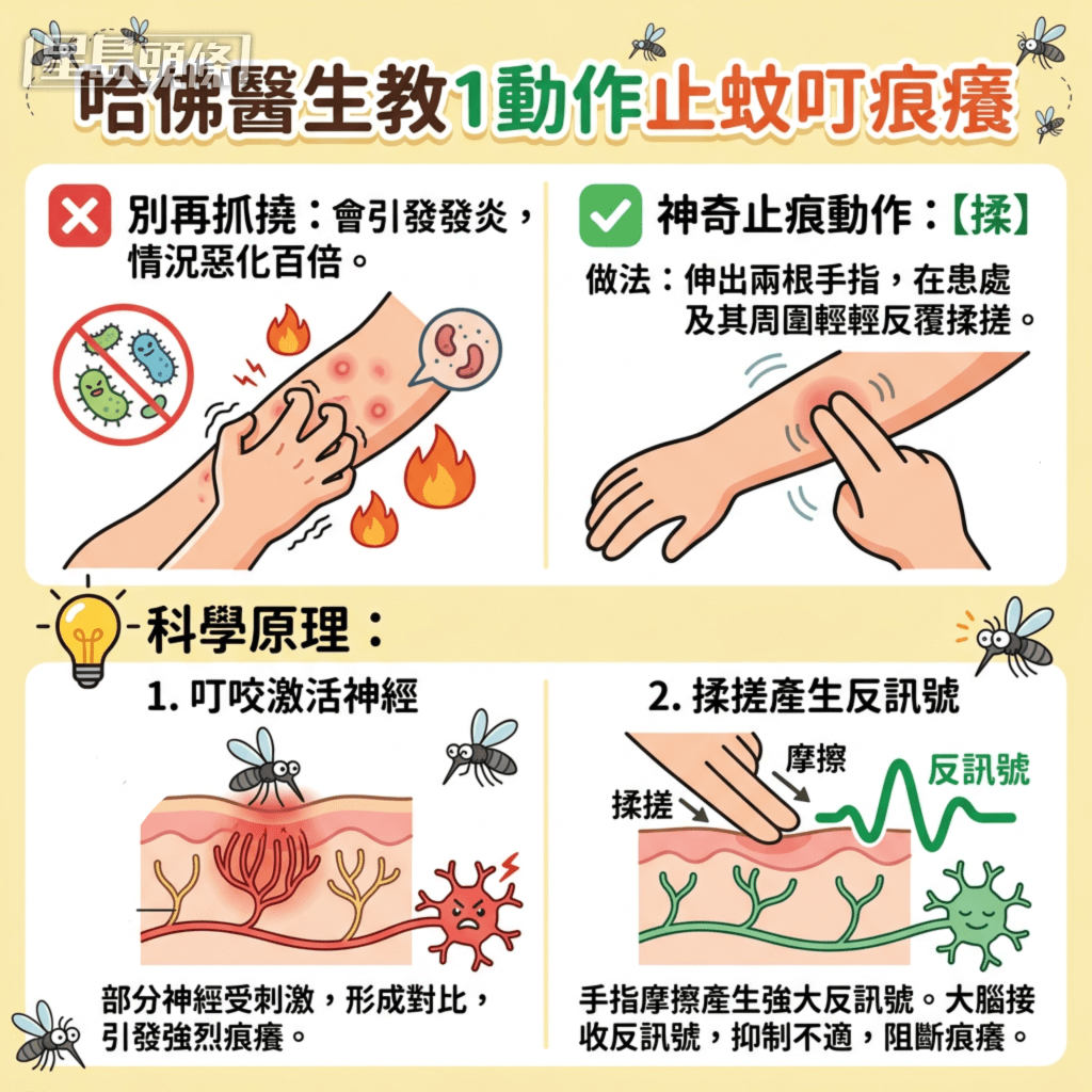 哈佛医生教1动作止蚊叮痕痒 哈佛医生教1动作止蚊叮痕痒