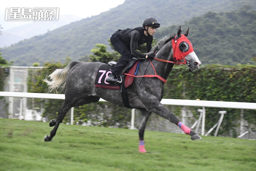 「銀騰」只要新季健康回復正常，要交出頭馬應無難度。