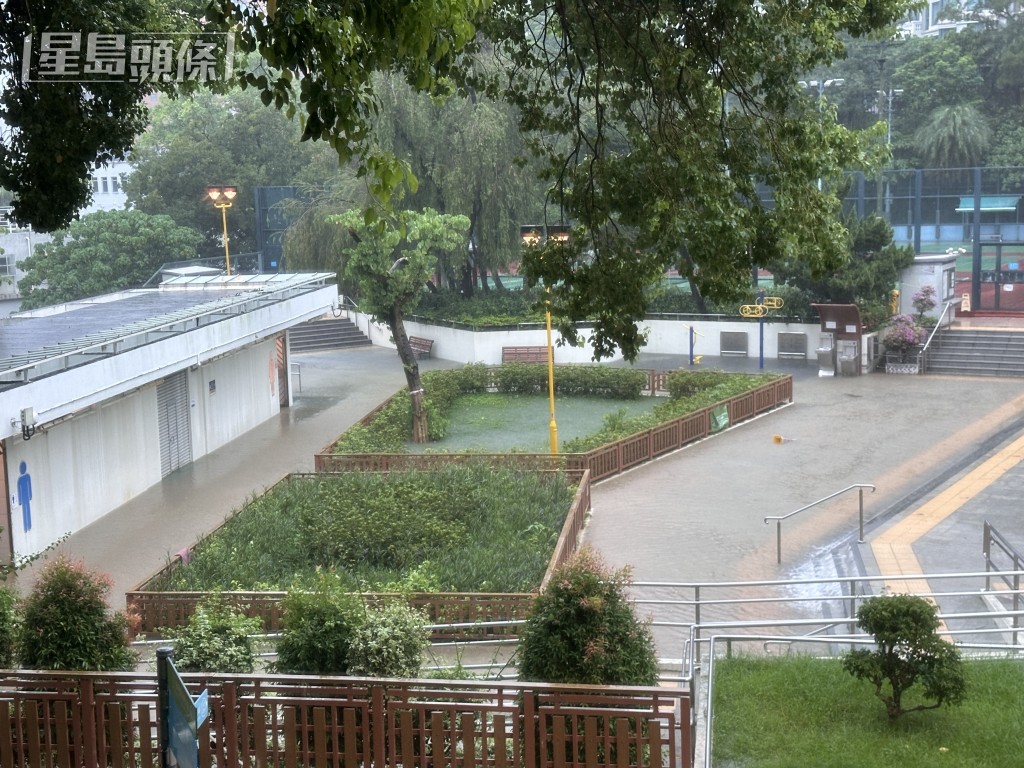 京士柏公園水深逾一呎。梁國峰攝