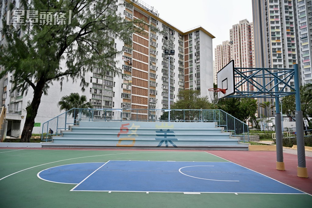 將「啟業邨」中英文字樣結合六種日出主題色彩融入看台設計。