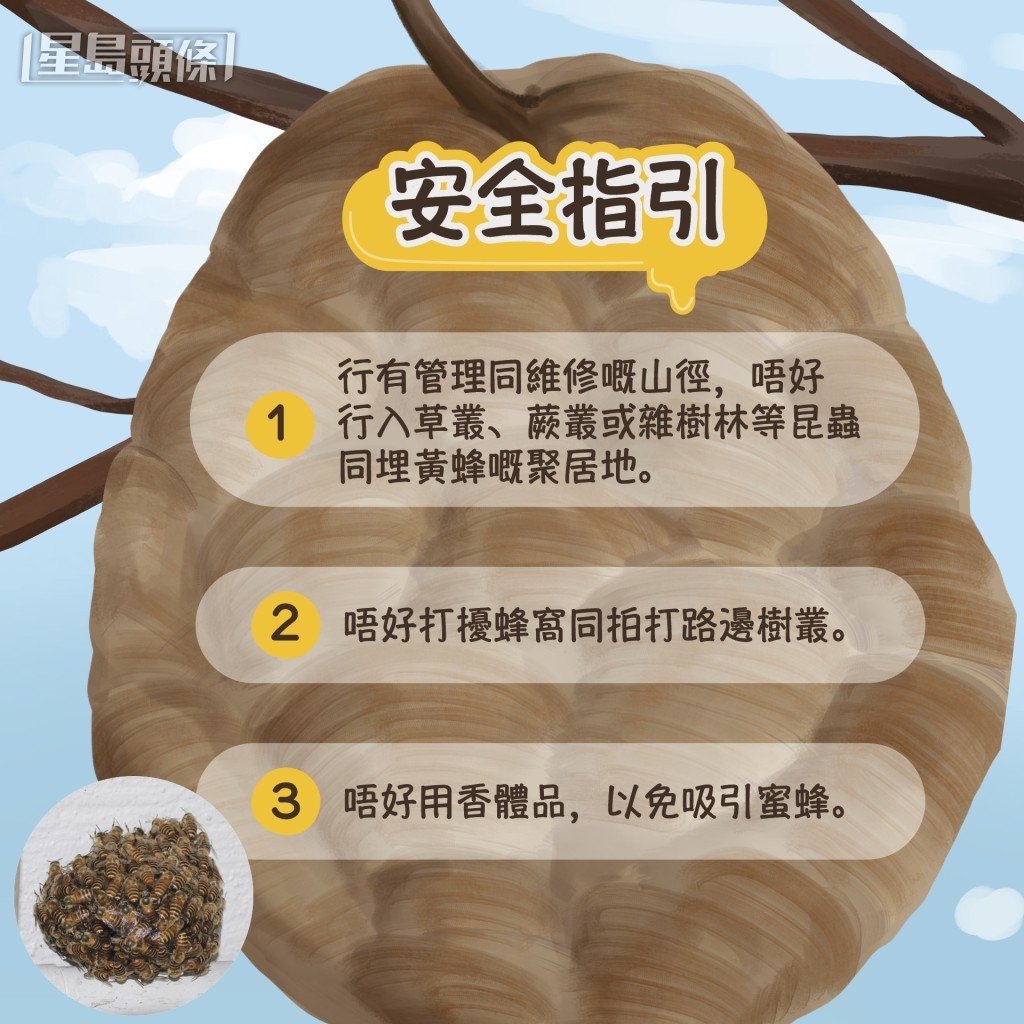 漁護署避蜂指引。FB:香港郊野公園 漁護署避蜂指引。FB:香港郊野公園