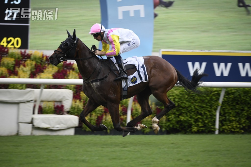 「飛躍精英」今場仍然在五班上陣，應具一定競爭力。