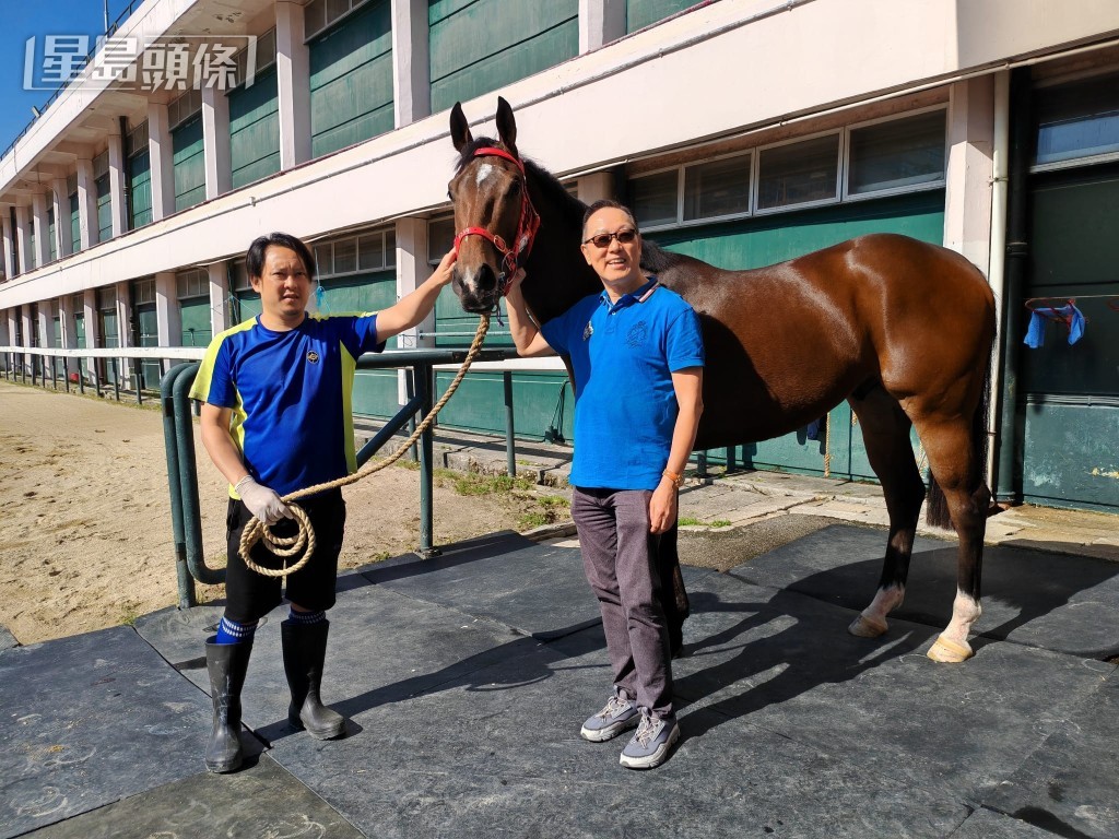 馬漢傑入馬房探質新馬「順善寶」。