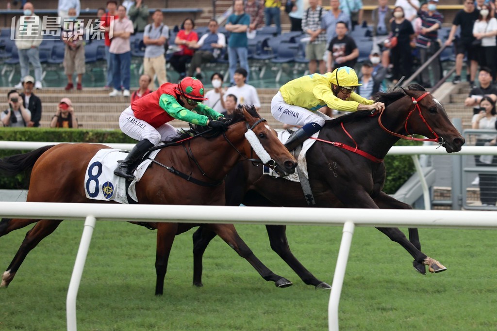 「賢者無敵」(紅衫) 早前曾力逼「金鑽貴人」。