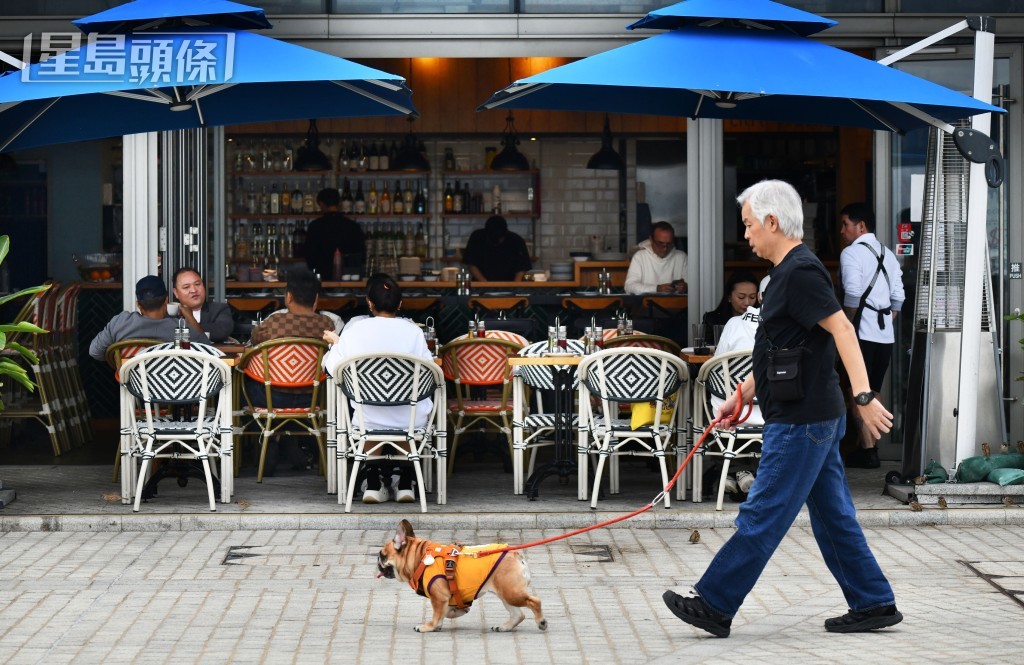 容許狗隻進入獲批准食肆，首階段擬設500至1000個名額。資料圖片