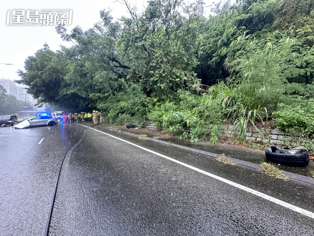 車輛飛脫跌在路旁。 車輛飛脫跌在路旁。