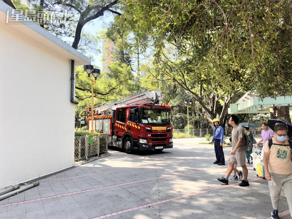 消防到場拯救鸚鵡。梁國峰攝