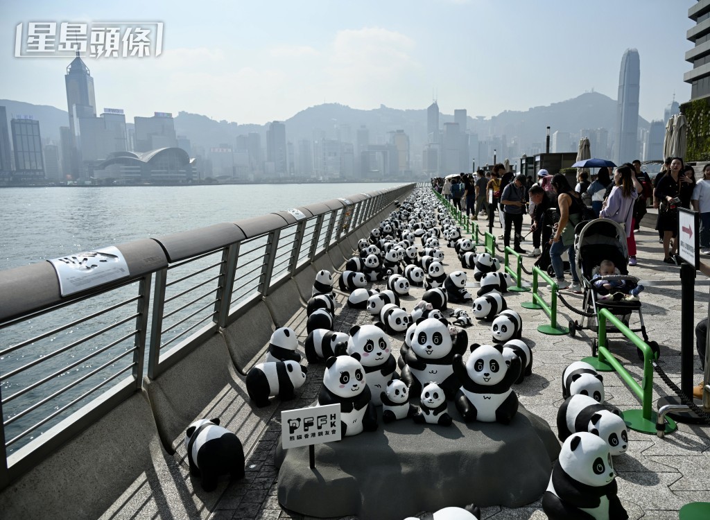 吸引大批市民到來參觀。