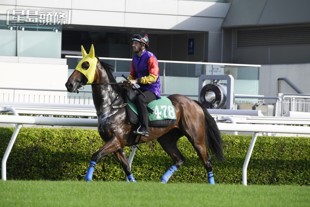 第六場「幸運雄威」表現忠心準繩，今場再戰上名路程，有力跑入前列。