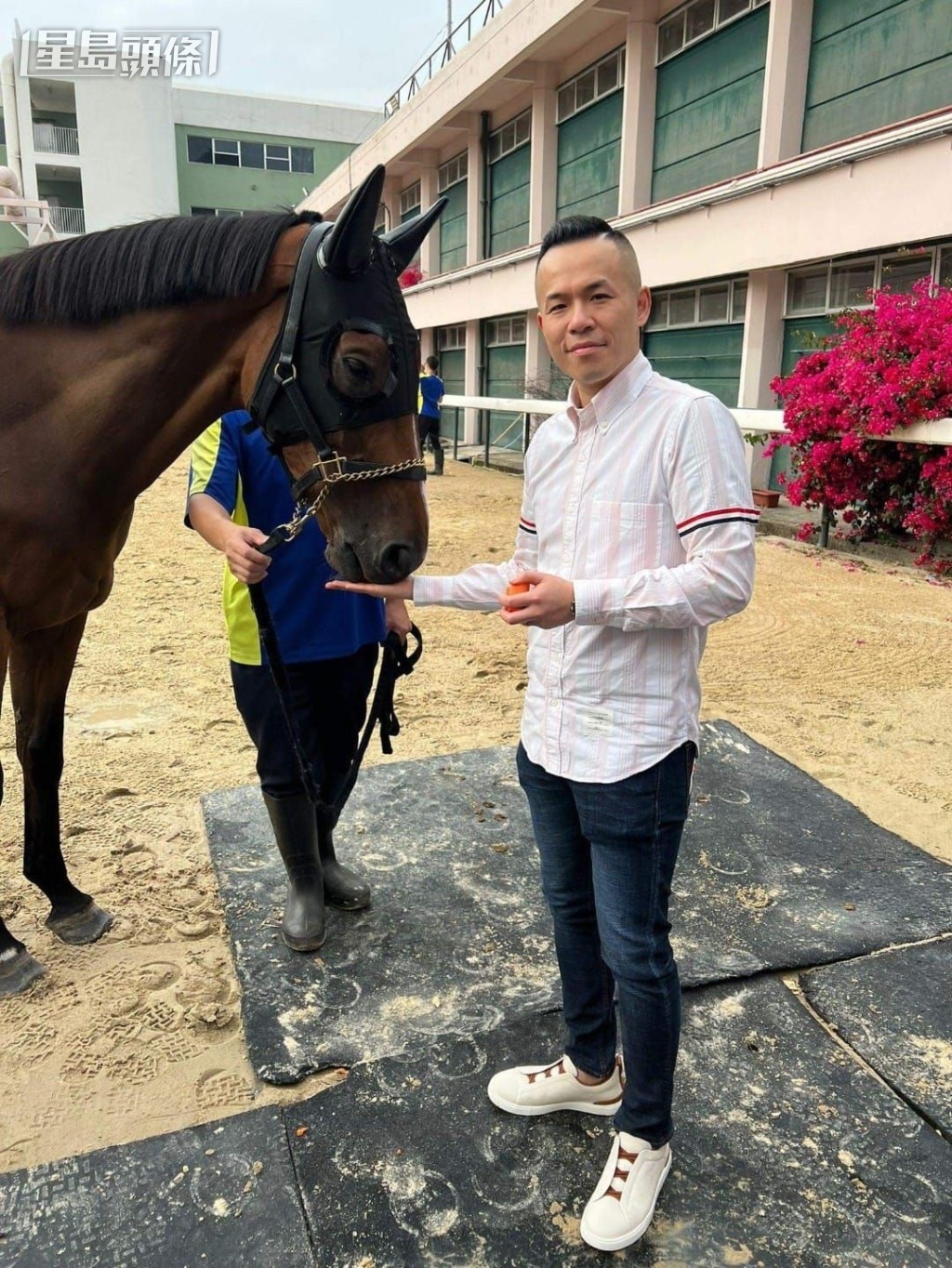 陳啟豪名下有「富存大師」、「富存曲奇」和團體馬「富存寶馬」。 陳啟豪名下有「富存大師」、「富存曲奇」和團體馬「富存寶馬」。