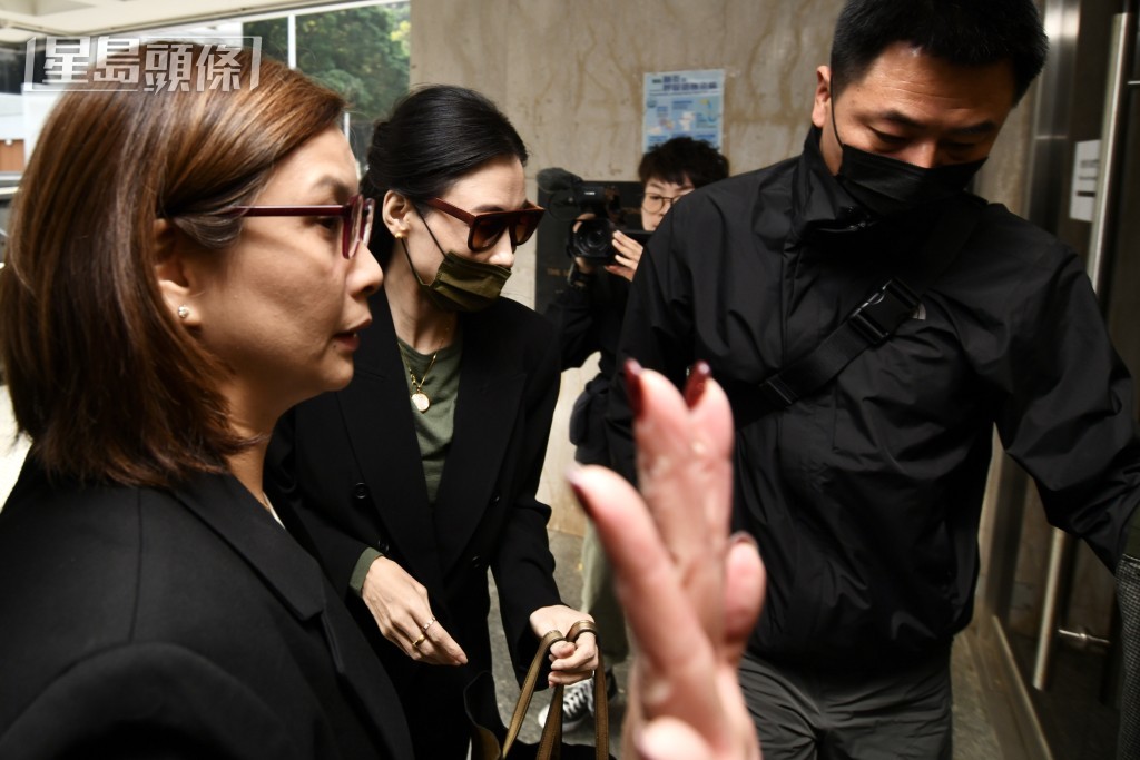 張柏芝到高院作供。盧江球攝