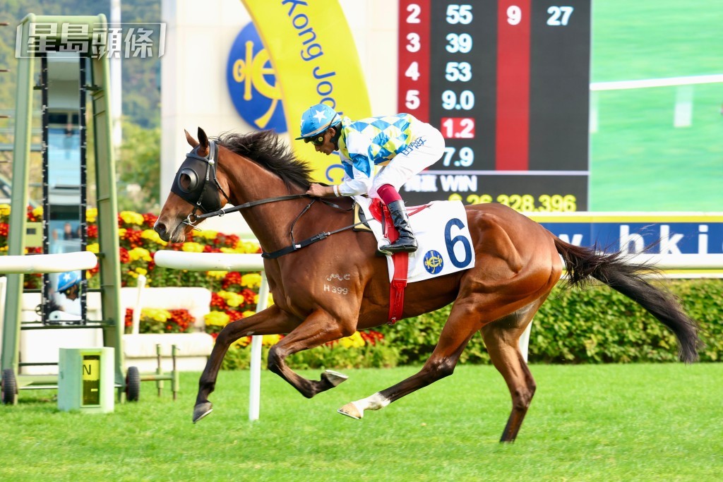 「錶之銀河」將放棄參加下月四日的四歲馬經典賽事系列的香港經典一哩賽。