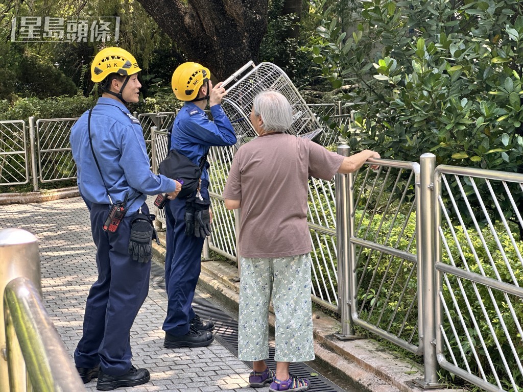 消防员协助鹦鹉女主人救雀。梁国峰摄