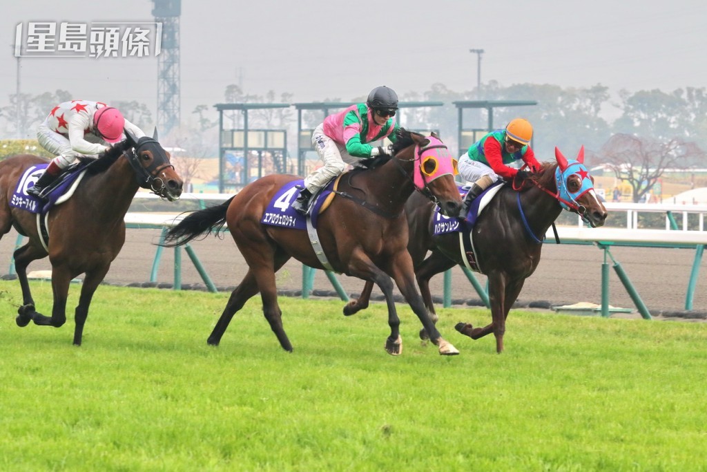 潘頓於2015年夥拍「友瑩格」揚威一級賽高松宮紀念賽。 潘頓於2015年夥拍「友瑩格」揚威一級賽高松宮紀念賽。