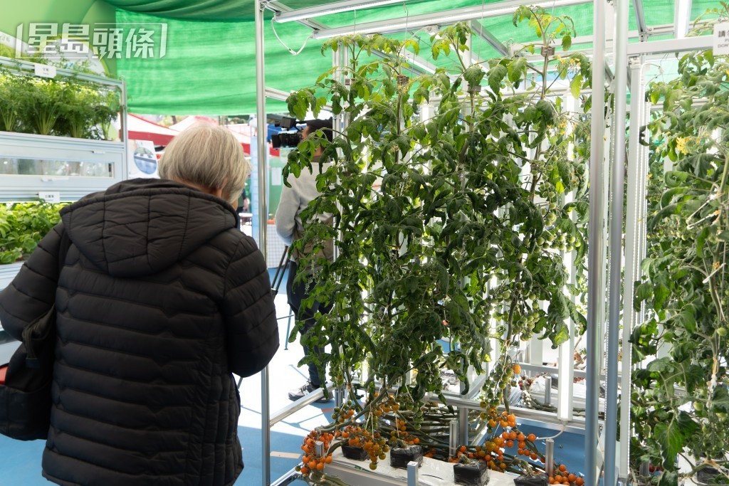 嘉年華設漁農展區，讓市民可了解本地漁農業應用技術及休閒漁農業活動。