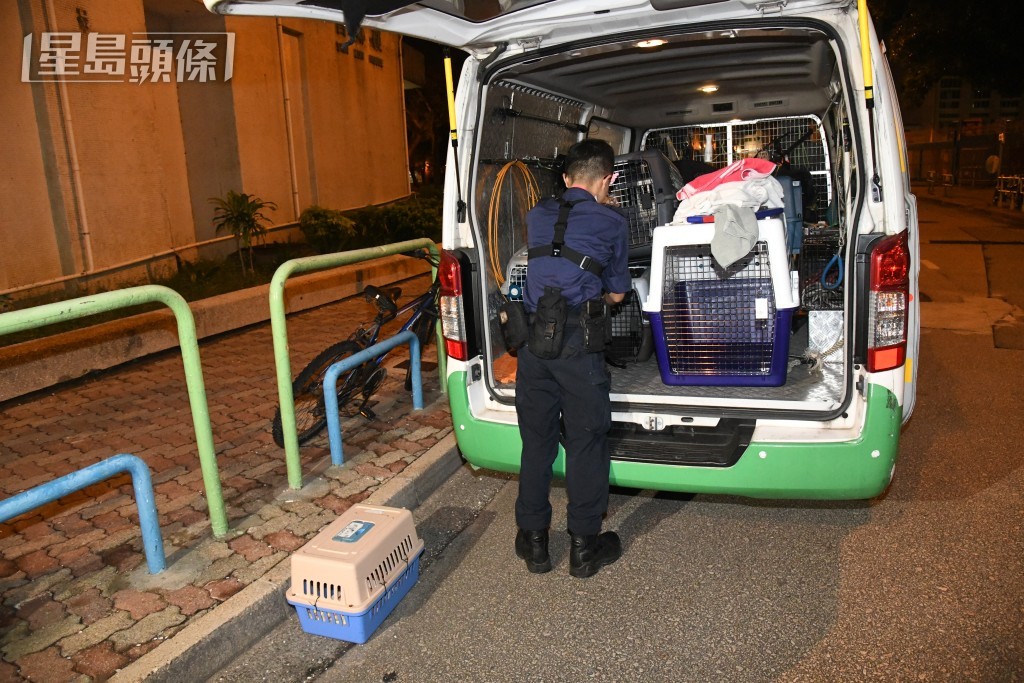 爱协人员带走部分猫只。