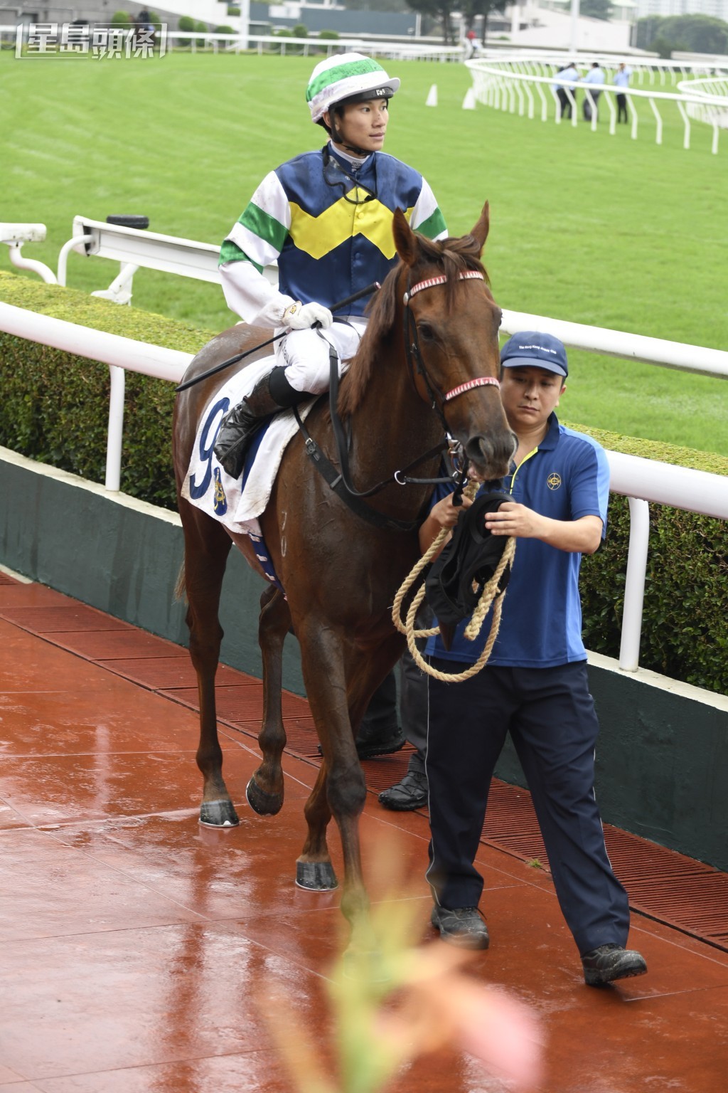 本賽日第五場「可期而遇」，人馬兩次合作，取得一亞一殿成績，今次成績如何？