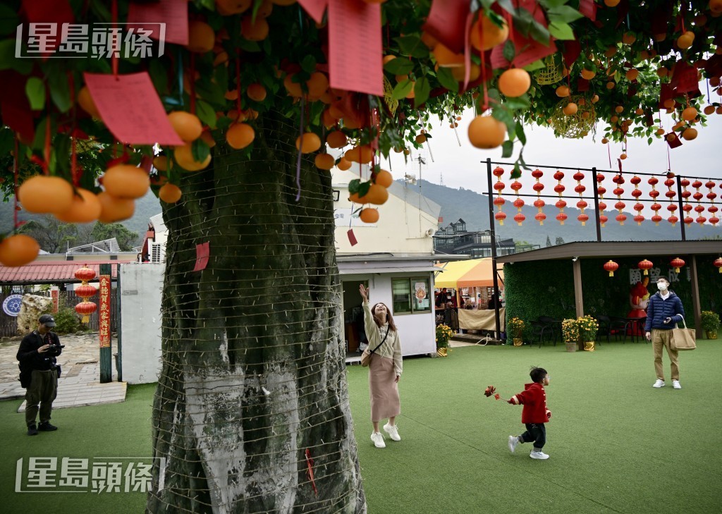 大埔林村许愿节效果胜预期。资料图片