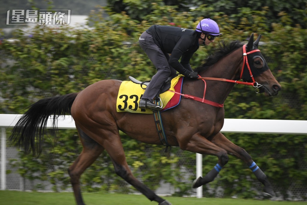 「自強不息」有強項泥地唔跑，刻意安排跑草地也要留意，