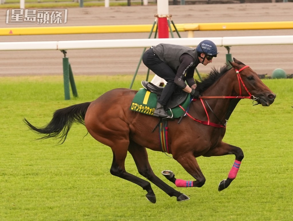 「浪漫勇士」在東京競馬場出操。 「浪漫勇士」在東京競馬場出操。