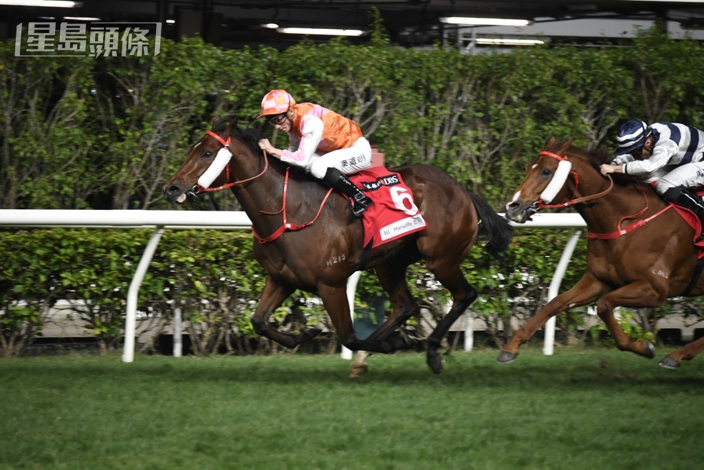 「喜蓮勇感」近期狀態健康均理想，周永健認為馬兒有望跑入位置。
