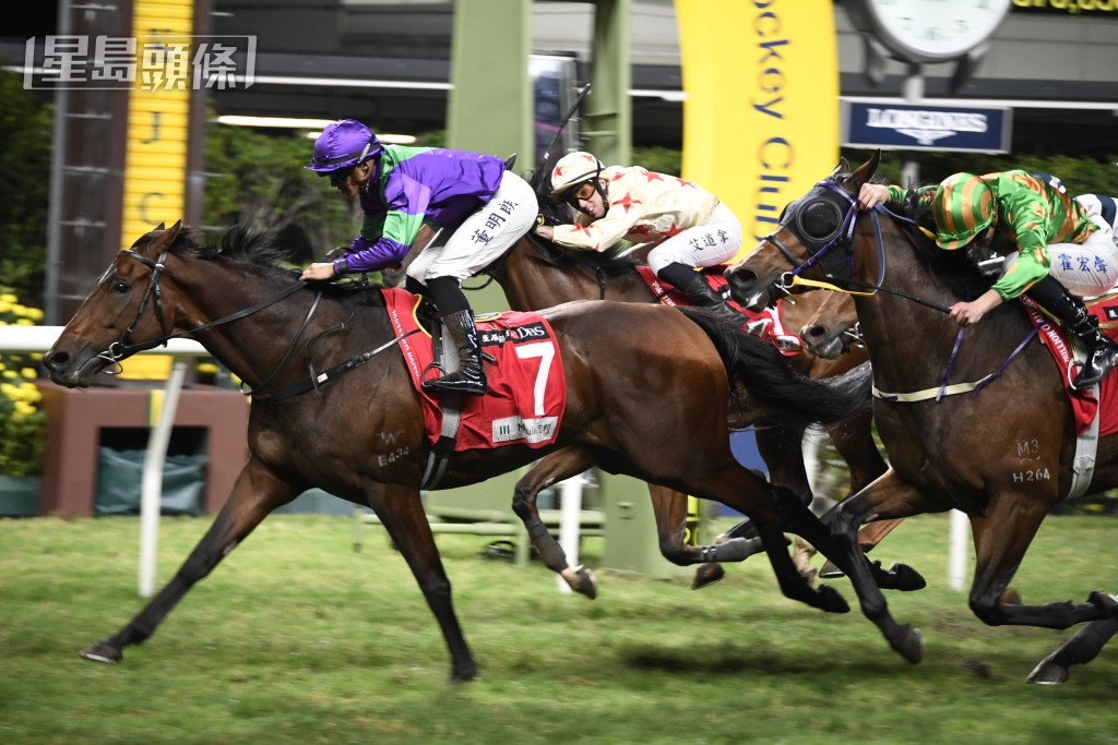 賀廄的「快搏」將出爭第十場賽事，此馬上場出爭谷草直路受困，今次轉戰沙田，全力爭取補中。