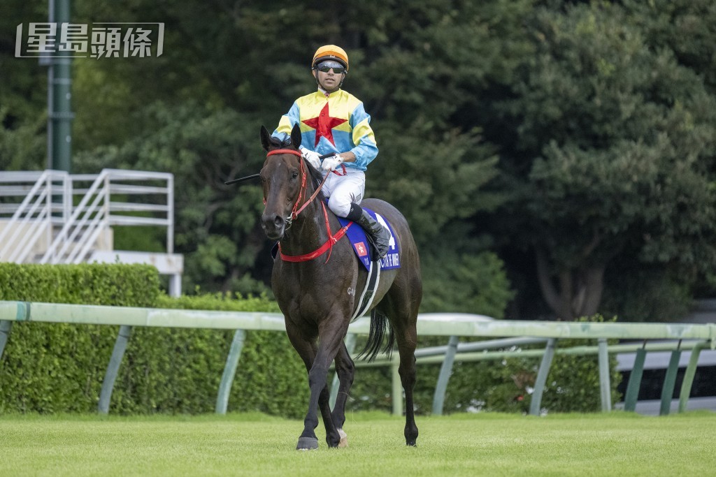 「維港智能」在中山競馬場跑獲第六名,賽後返回解鞍處。 「維港智能」在中山競馬場跑獲第六名,賽後返回解鞍處。